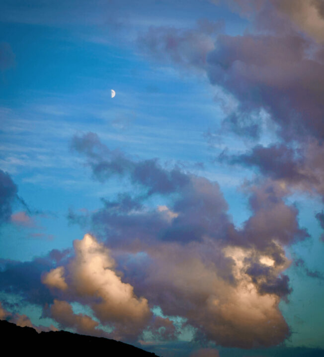 Image bookmark of Element 1