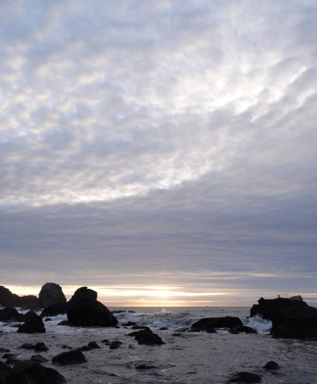 Bookmark image of element 2