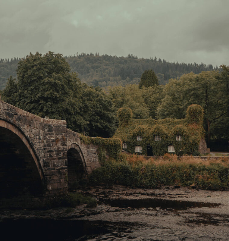 Background image for another poem
