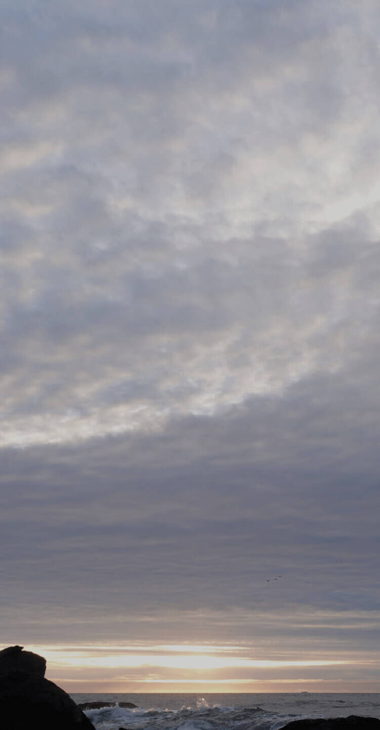 Element 2 Image background