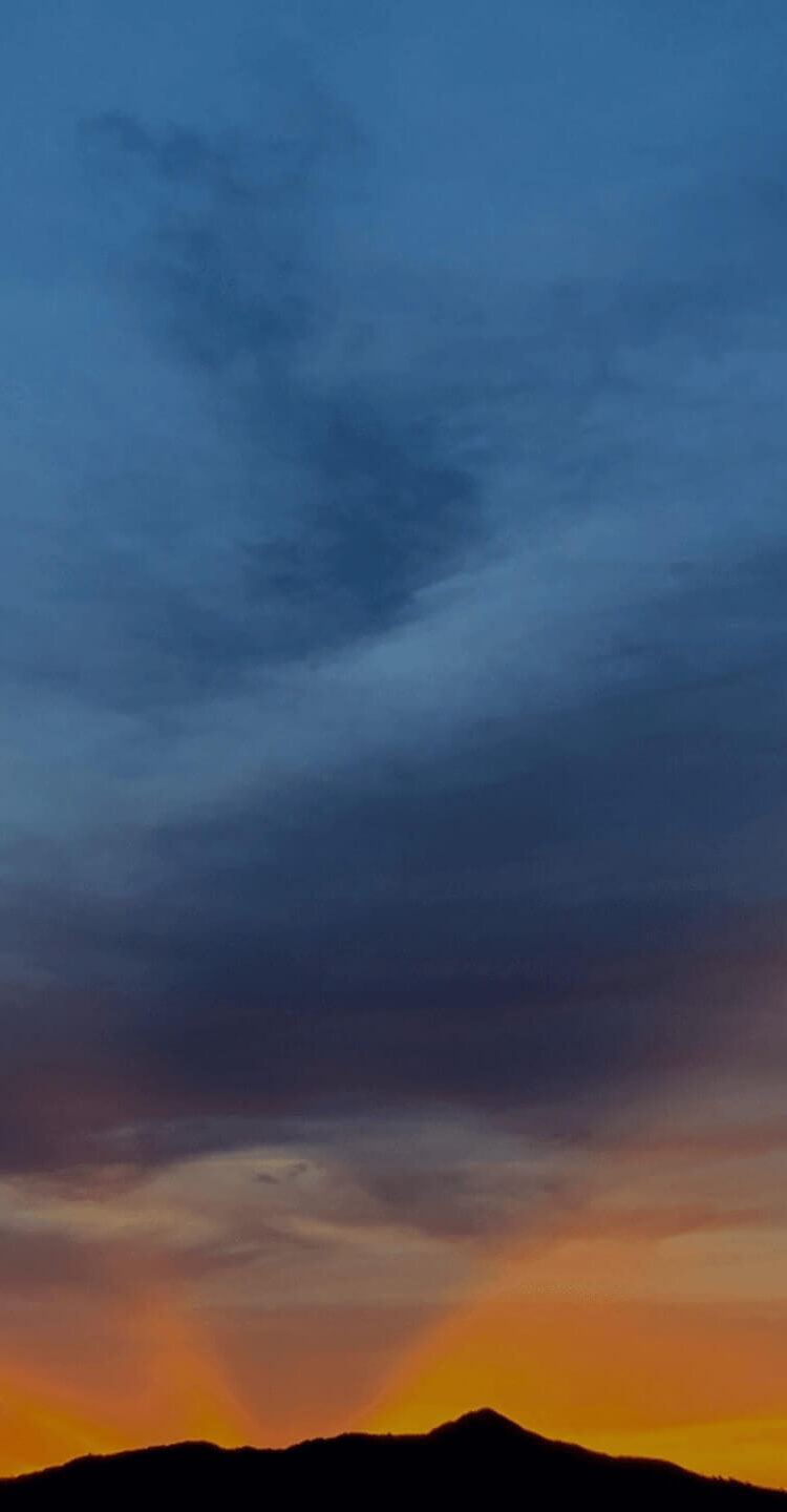 Element 5 image background